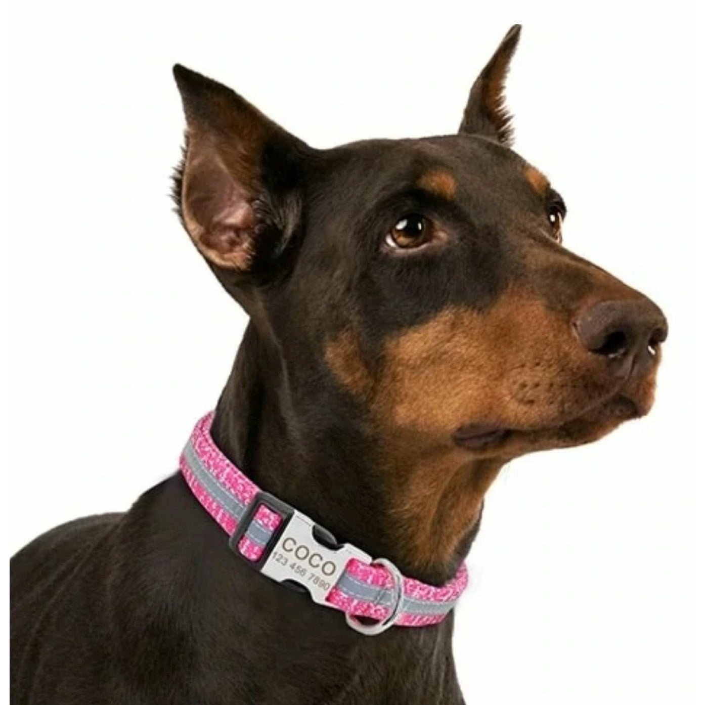 Dog Collar with Nameplate to customize - DoggyHoods