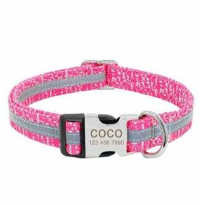 Dog Collar with Nameplate to customize - DoggyHoods
