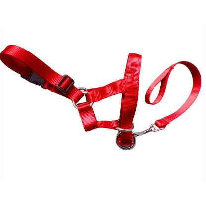 Dog rectification rushing leash - DoggyHoods