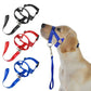Dog rectification rushing leash - DoggyHoods