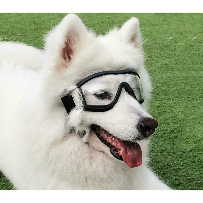 Dog Sunglasses - DoggyHoods