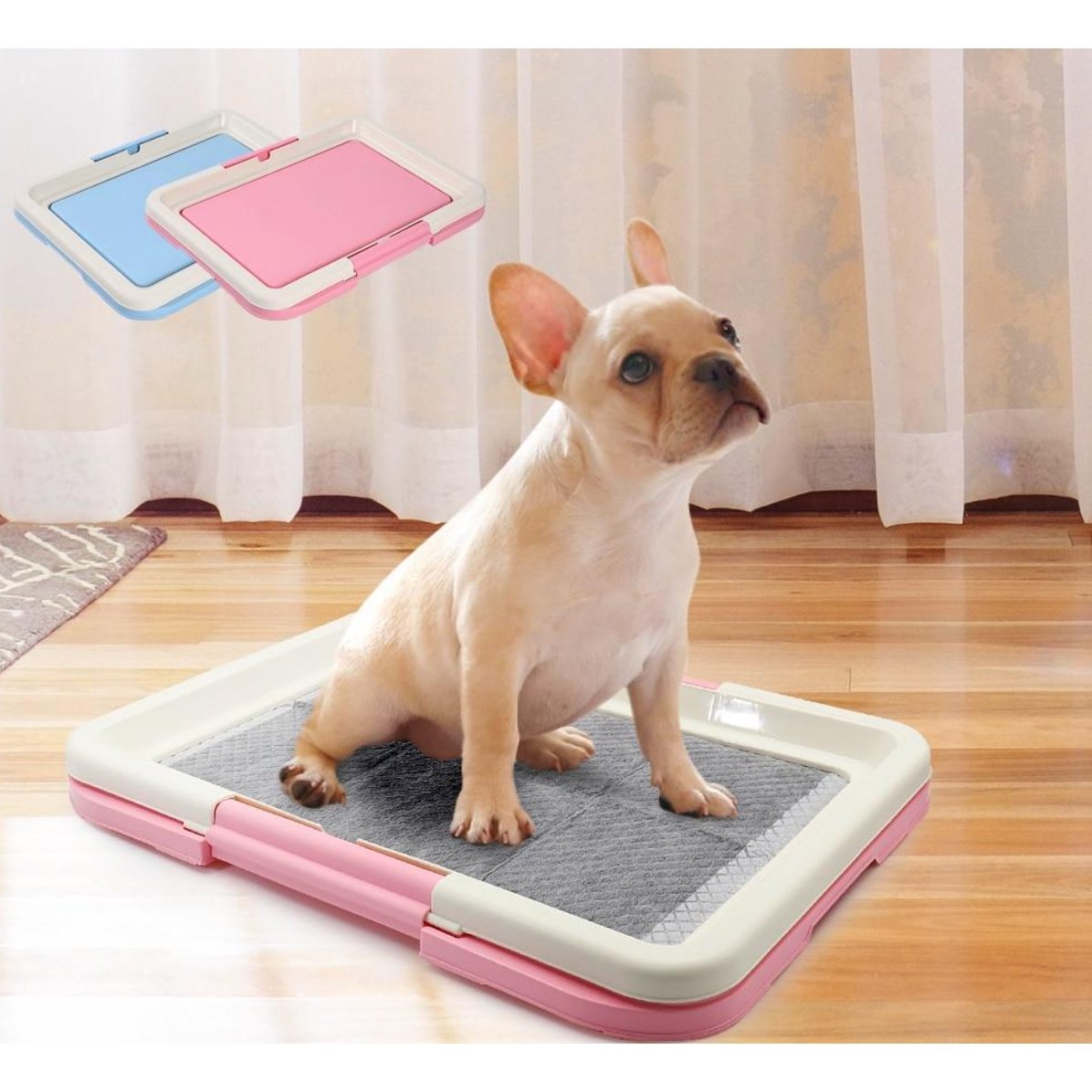 Dog Toilet Dog Urinal Inducer - DoggyHoods