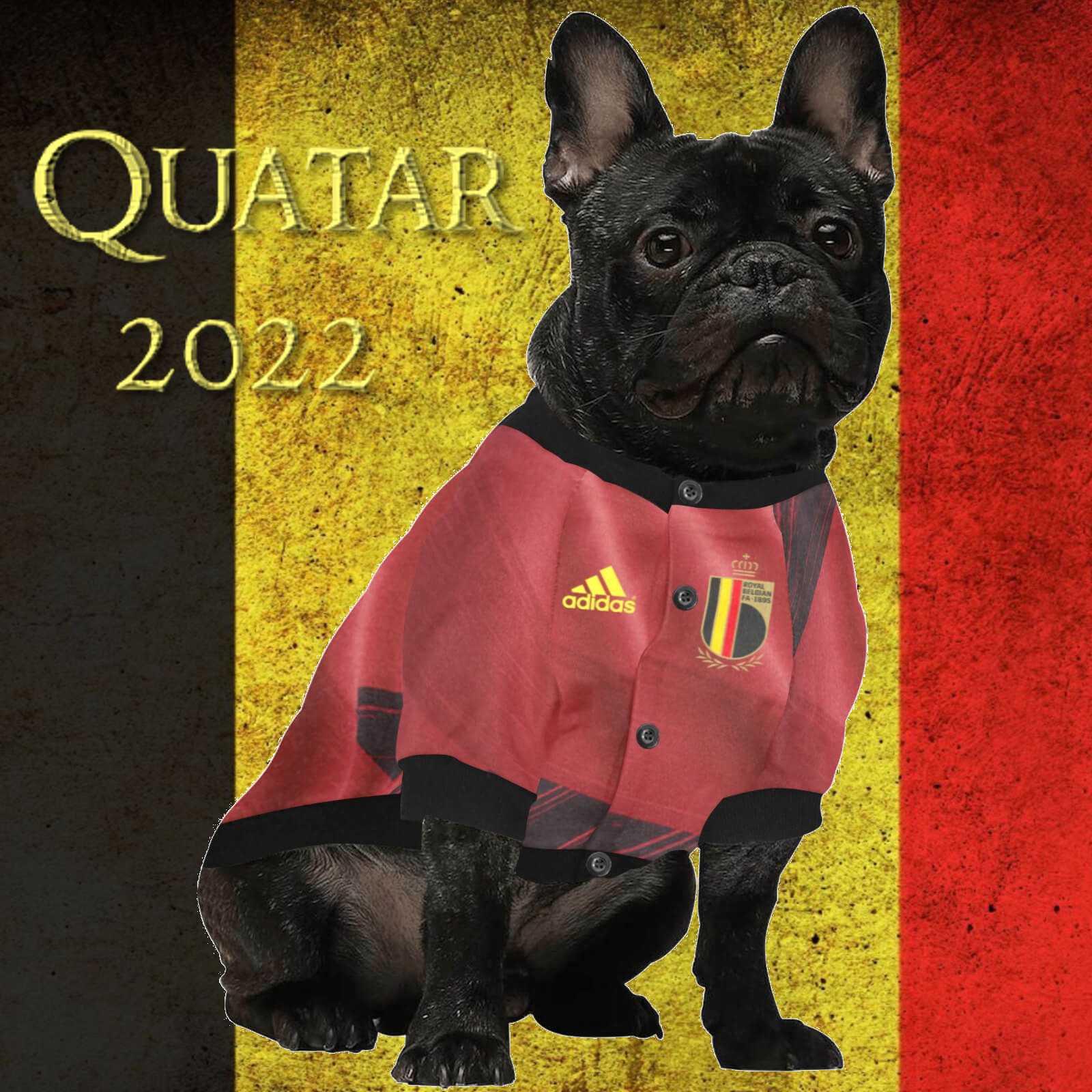 #dog_hoodie# - DoggyHoods