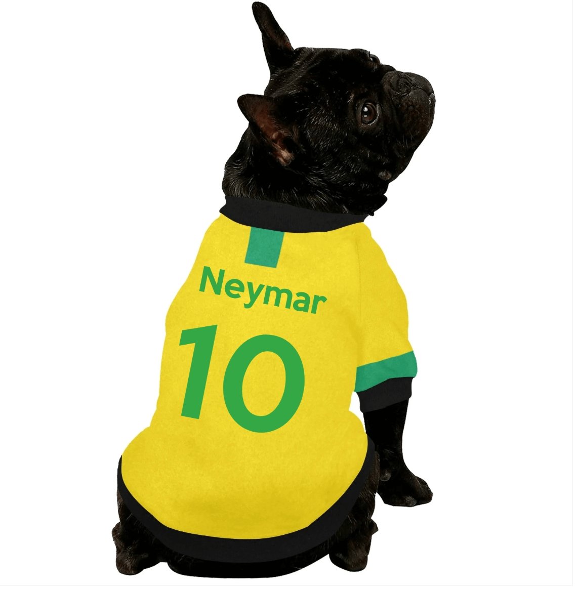 #dog_hoodie# - DoggyHoods