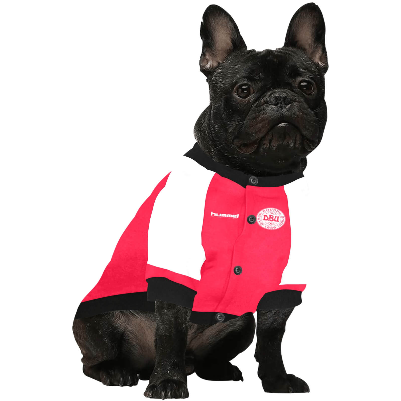 #dog_hoodie# - DoggyHoods