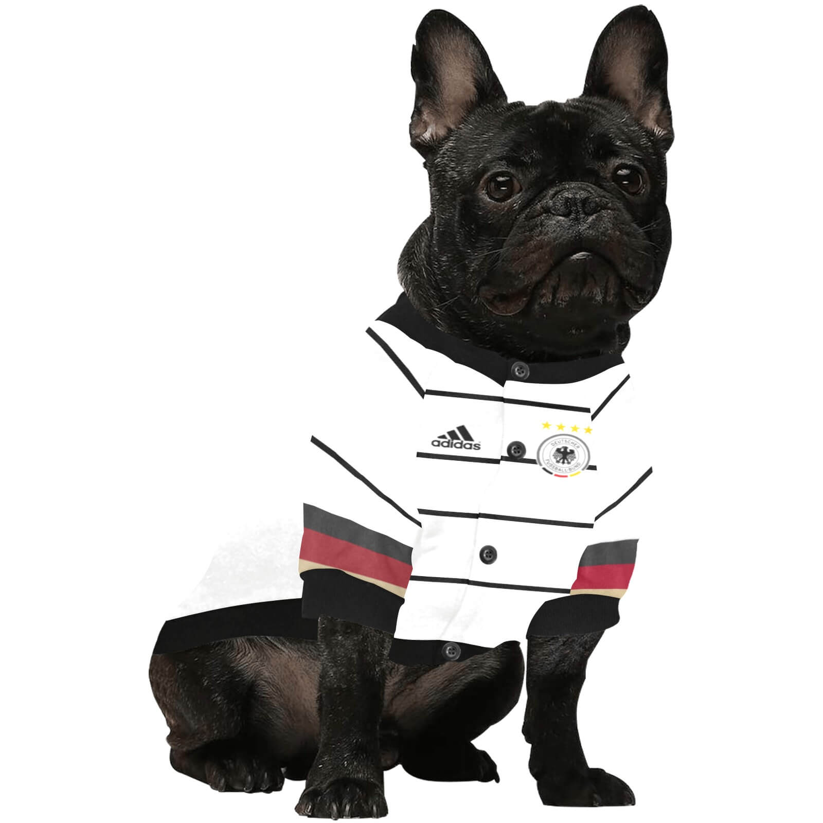 #dog_hoodie# - DoggyHoods