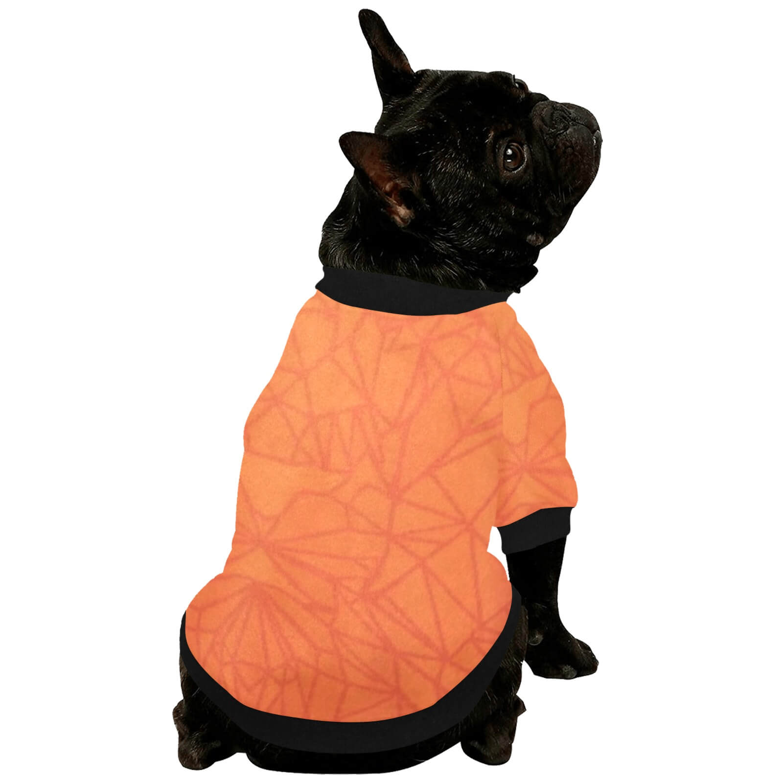 #dog_hoodie# - DoggyHoods
