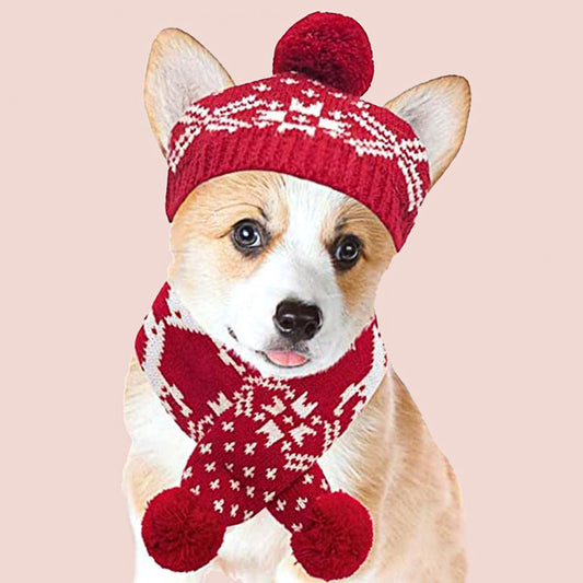 #dog_hoodie# - DoggyHoods