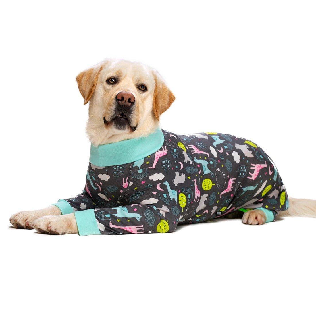 #dog_hoodie# - DoggyHoods