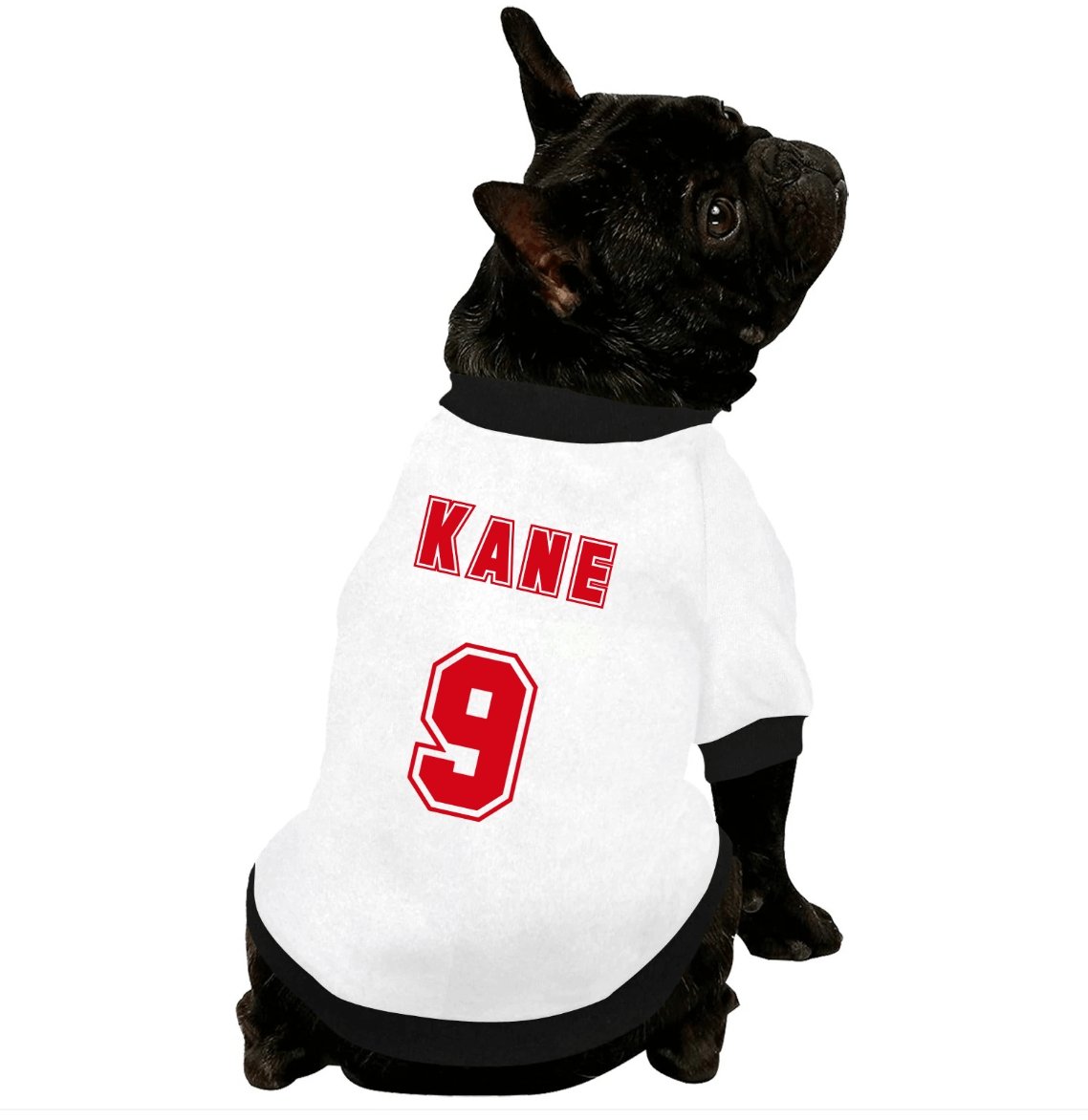 #dog_hoodie# - DoggyHoods