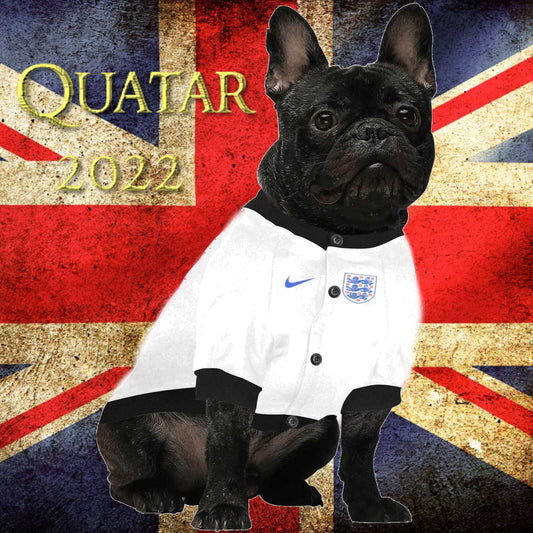 #dog_hoodie# - DoggyHoods