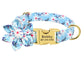 Fashion Dog Collar to personalise - DoggyHoods