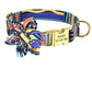 Fashion Dog Collar to personalise - DoggyHoods