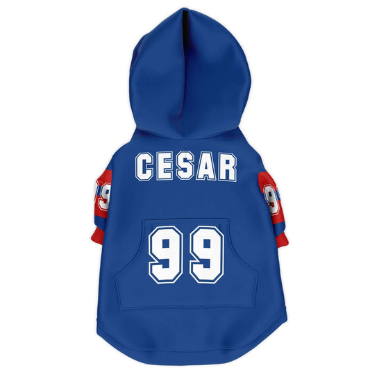 FOOTBALL DOG HOODIE - hunde fuball trikot