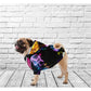 GLOW DOG HOODIE - DoggyHoods