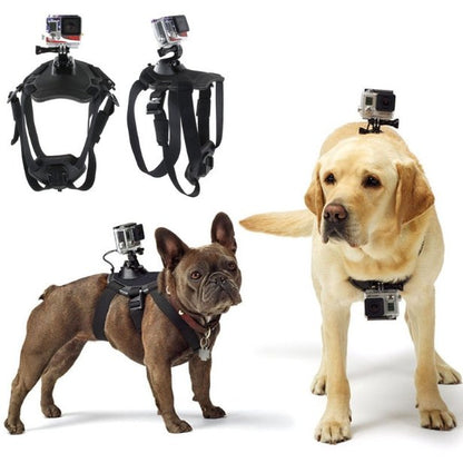 GoPro Hero Dog Strap Belt Harness - DoggyHoods