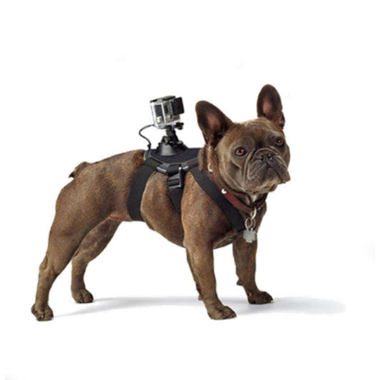GoPro Hero Dog Strap Belt Harness - DoggyHoods