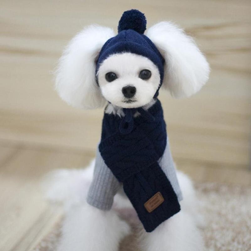 #dog_hoodie# - DoggyHoods