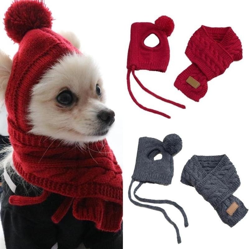 #dog_hoodie# - DoggyHoods