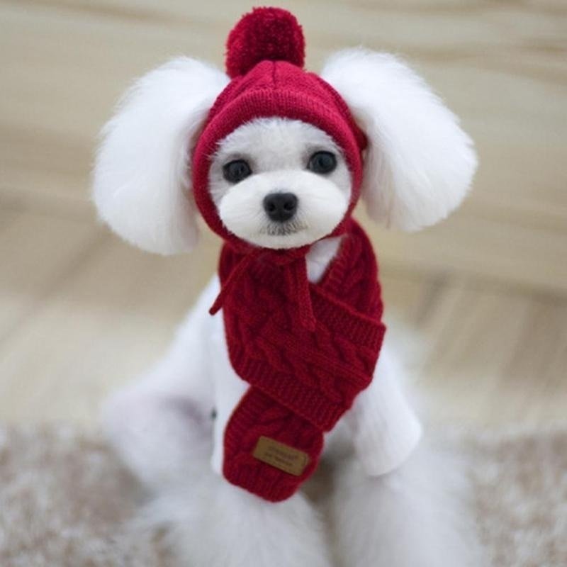#dog_hoodie# - DoggyHoods