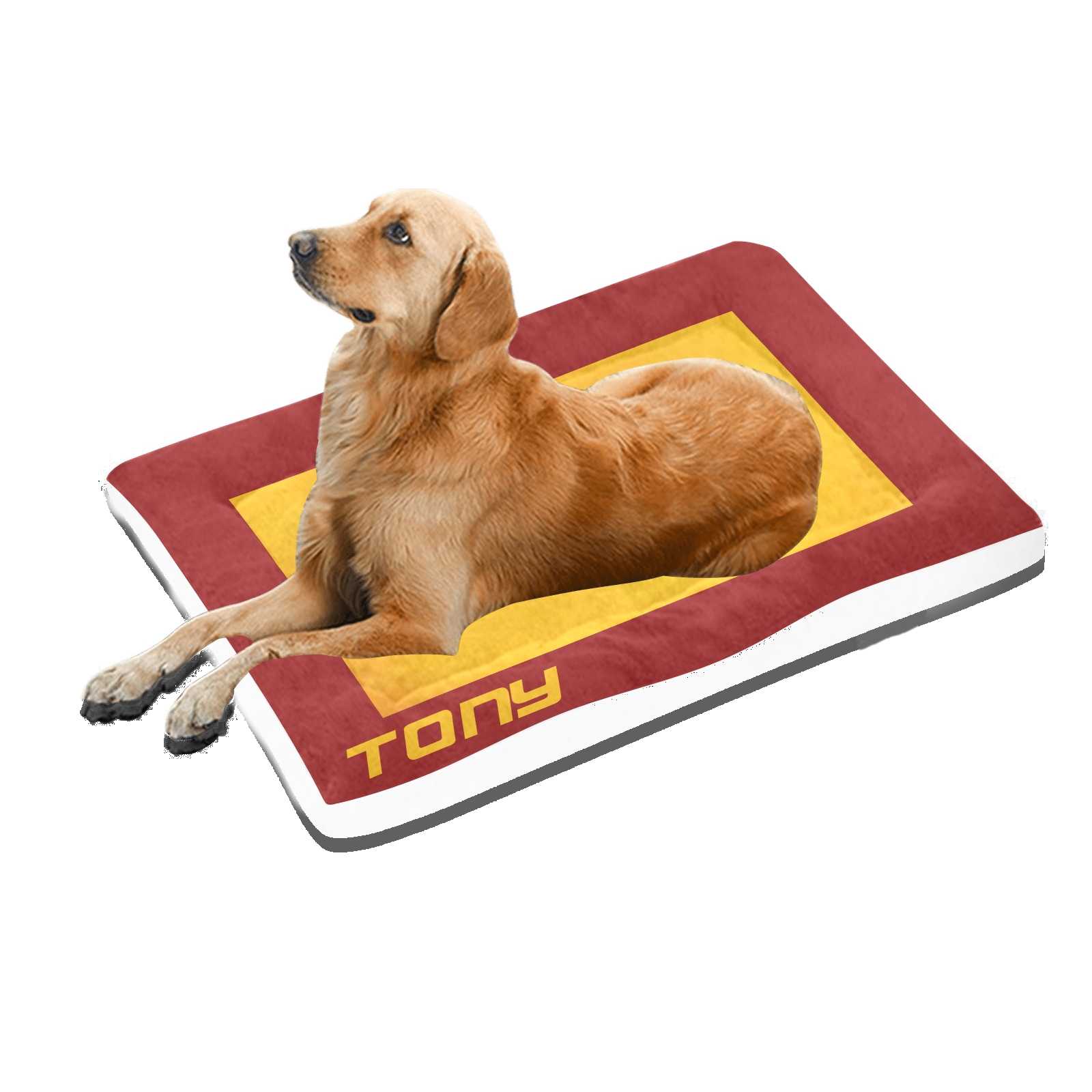 #dog_hoodie# - DoggyHoods