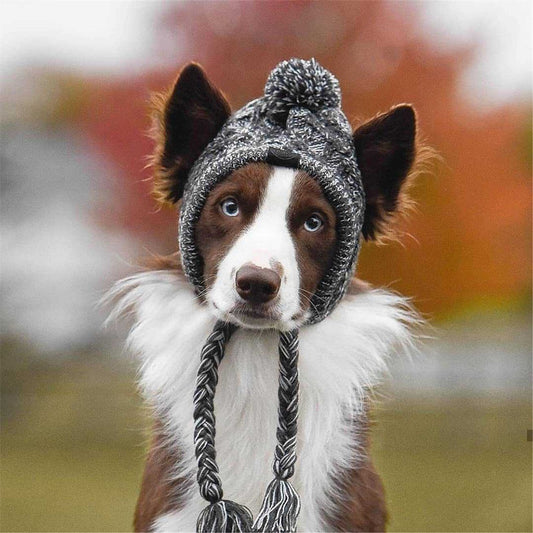 #dog_hoodie# - DoggyHoods