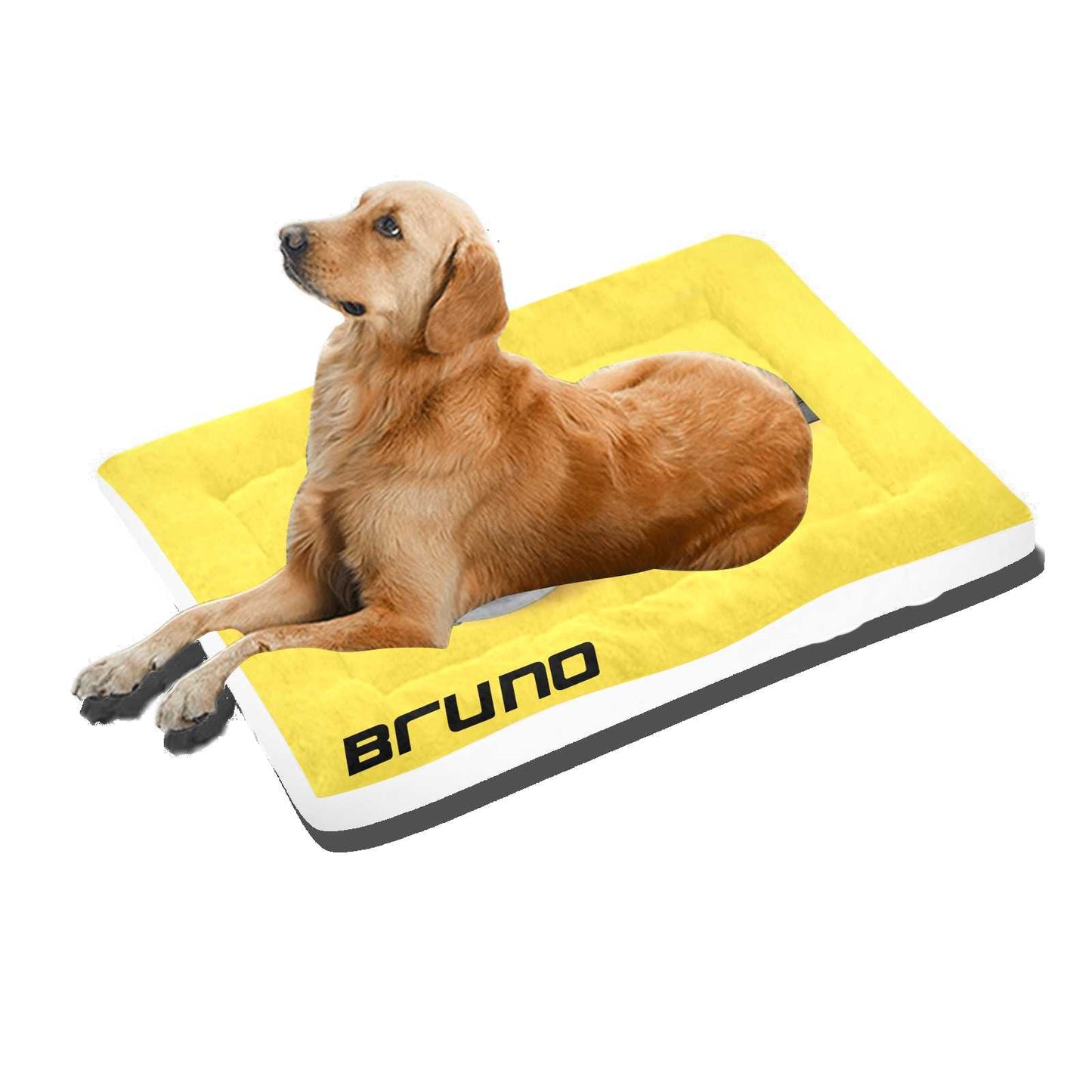 #dog_hoodie# - DoggyHoods