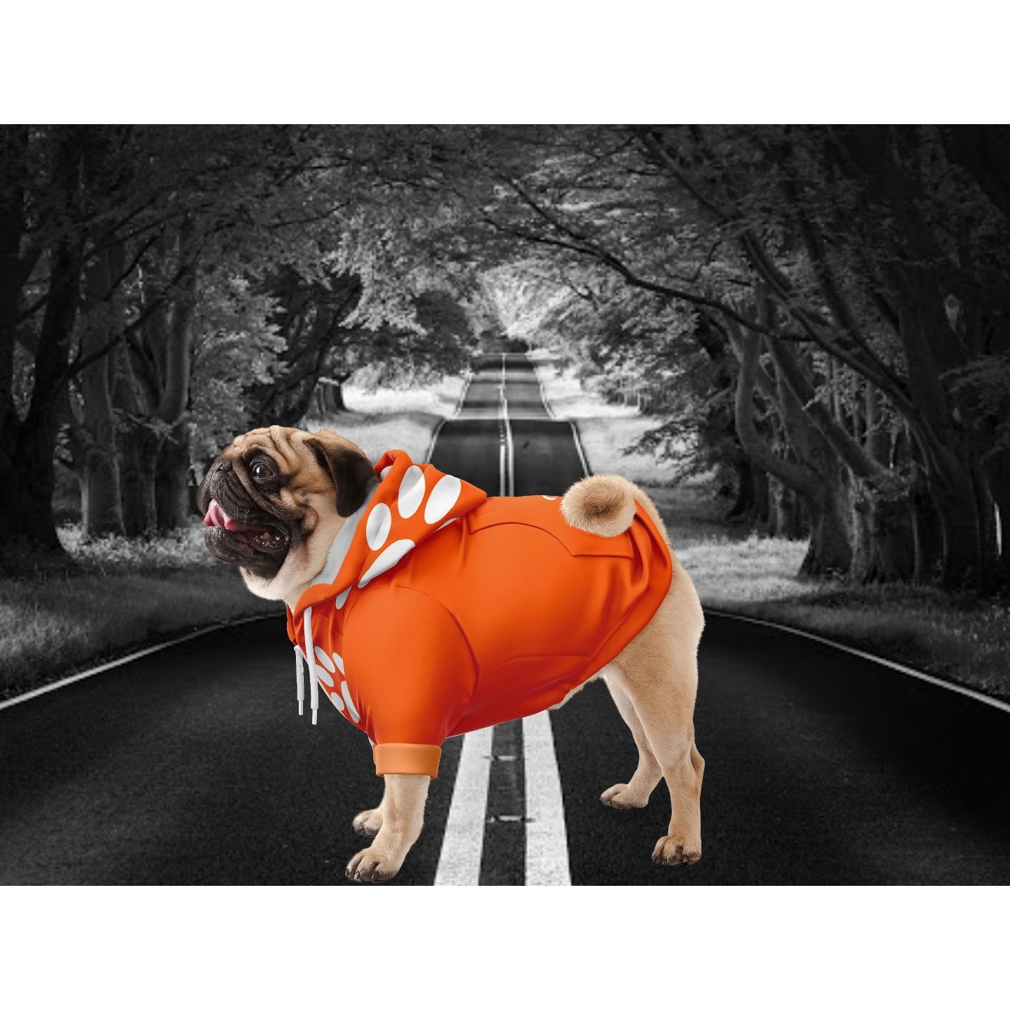 ORANGE HOODIE - DoggyHoods