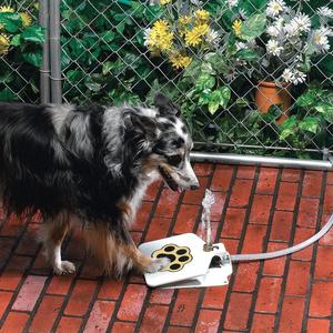 Outdoor Dog Pet Water Fountain - DoggyHoods