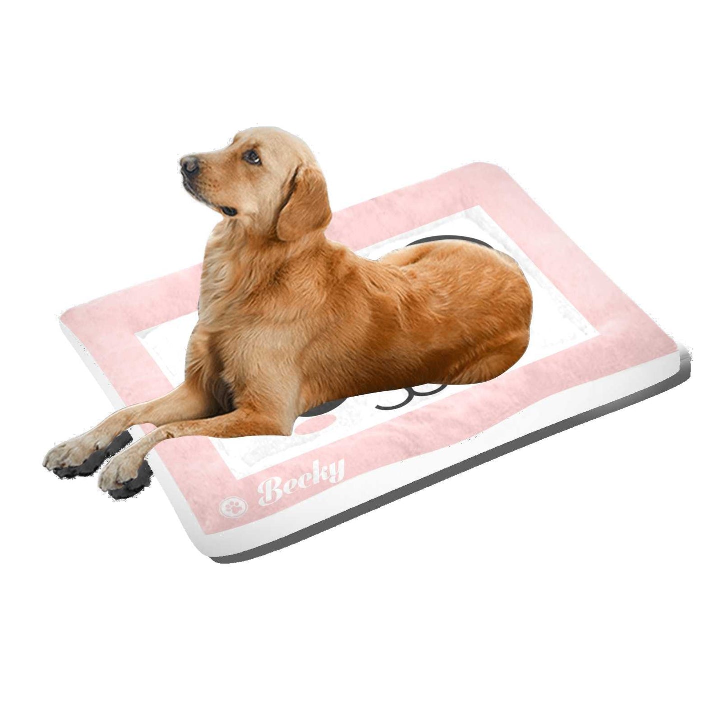 #dog_hoodie# - DoggyHoods