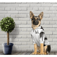 dog_hoodie - DoggyHoods