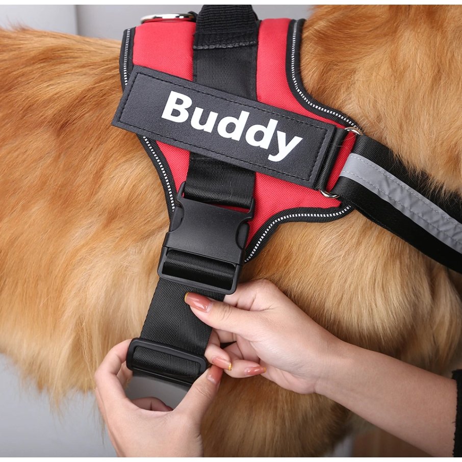 Personalisable Dog Harness - DoggyHoods