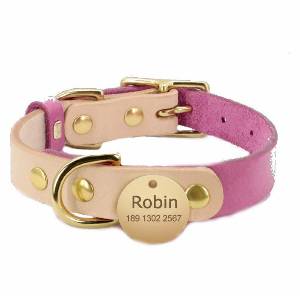 Personalized Leather Collar - DoggyHoods