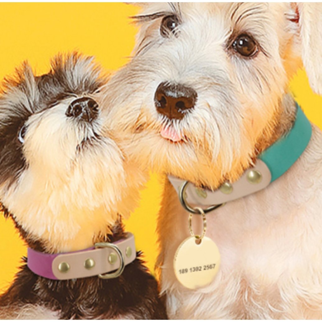 Personalized Leather Collar - DoggyHoods