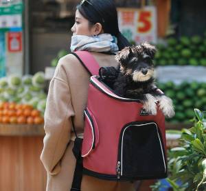 Pet Dog Backpack - DoggyHoods