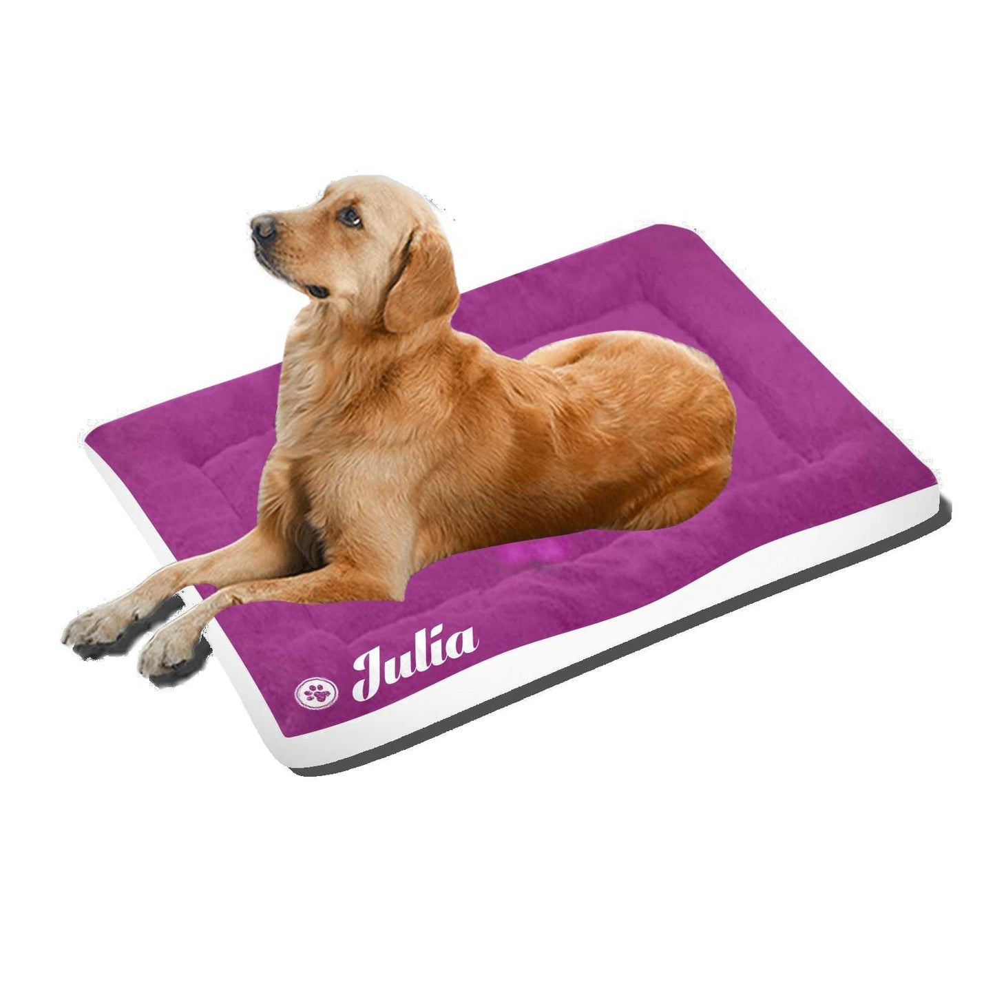 #dog_hoodie# - DoggyHoods