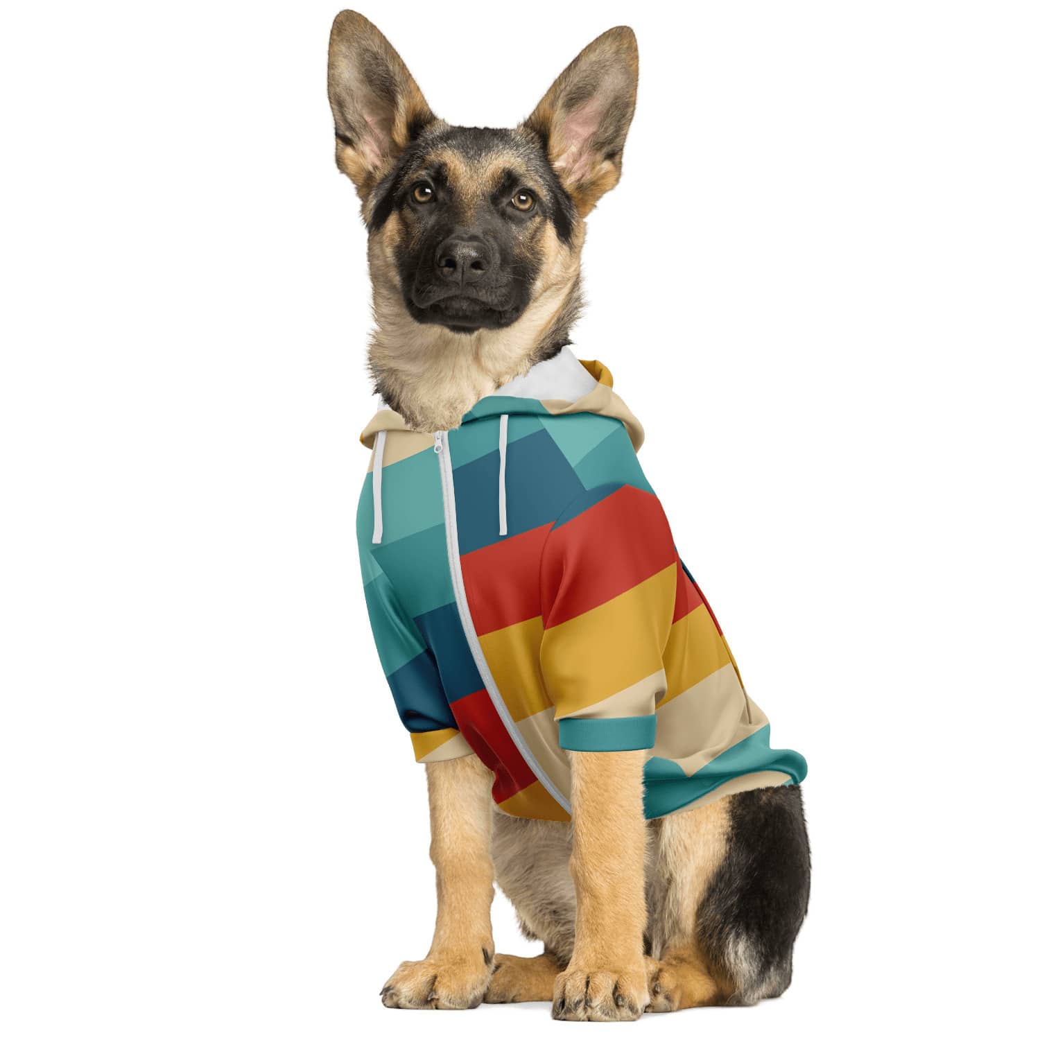 RETRO DOG HOODIE - custom print dog hoodie