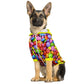SMARTIES DOG HOODIE - DoggyHoods
