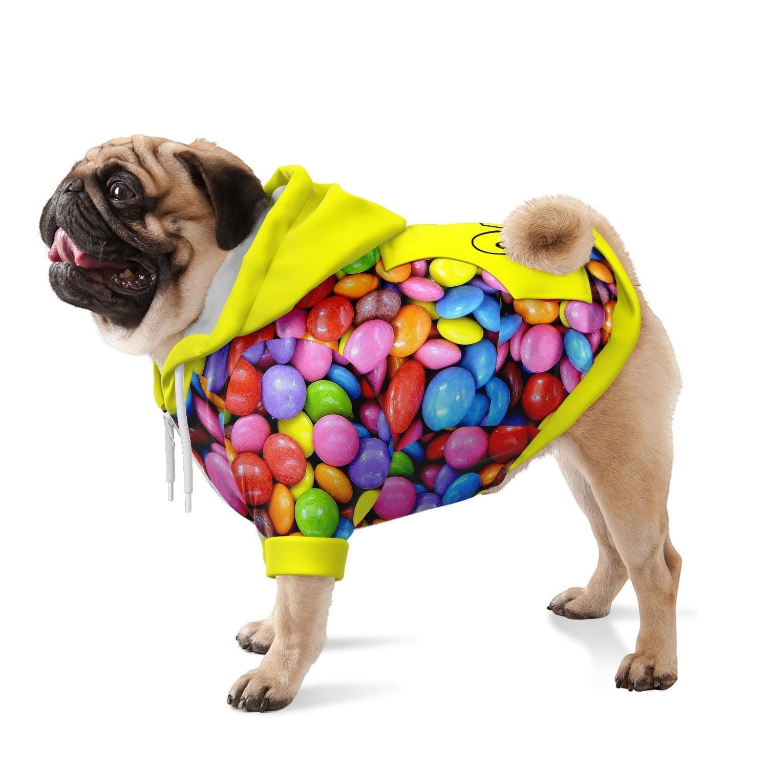 SMARTIES DOG HOODIE - DoggyHoods