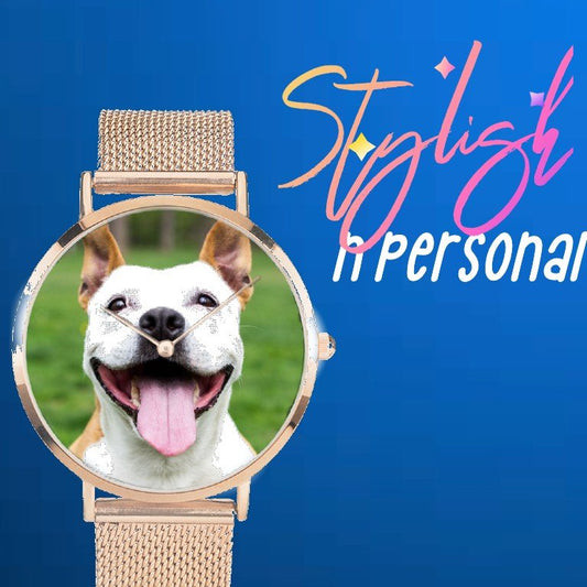 Stainless Steel Quartz Watch - DoggyHoods