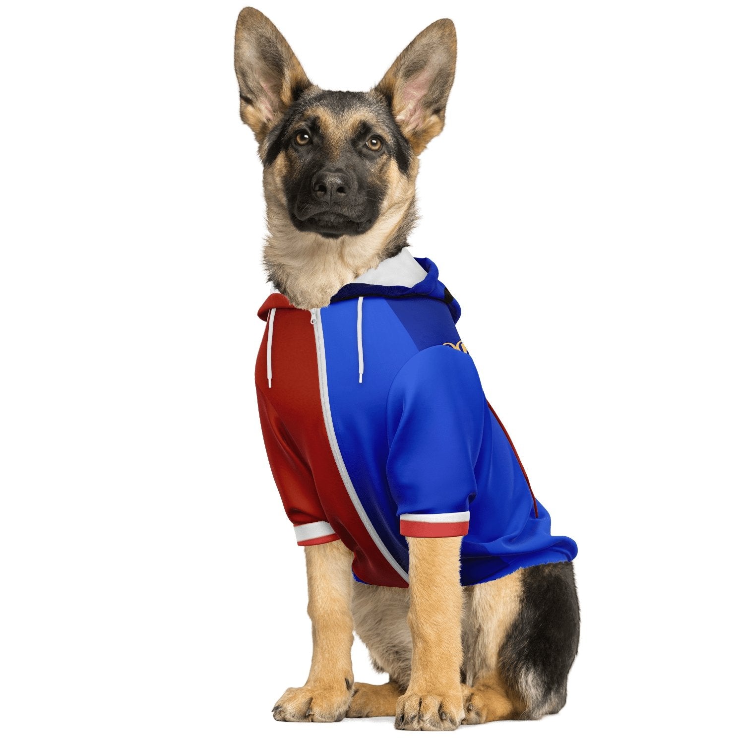 SUICIDE SQUAD DOG HOODIE - DoggyHoods