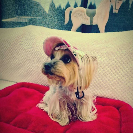 #dog_hoodie# - DoggyHoods