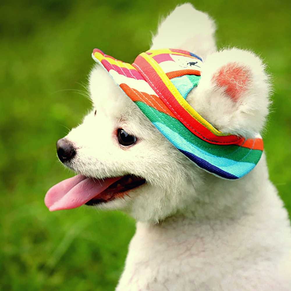 #dog_hoodie# - DoggyHoods