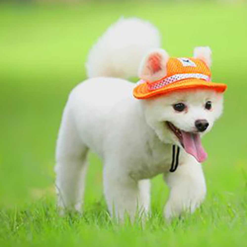 #dog_hoodie# - DoggyHoods