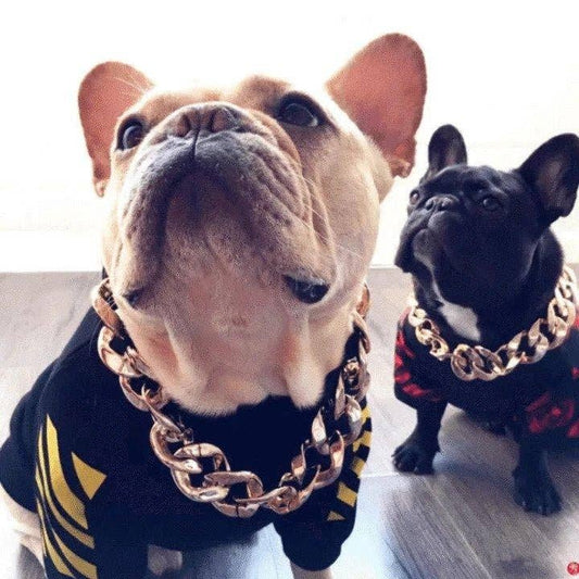 #dog_hoodie# - DoggyHoods