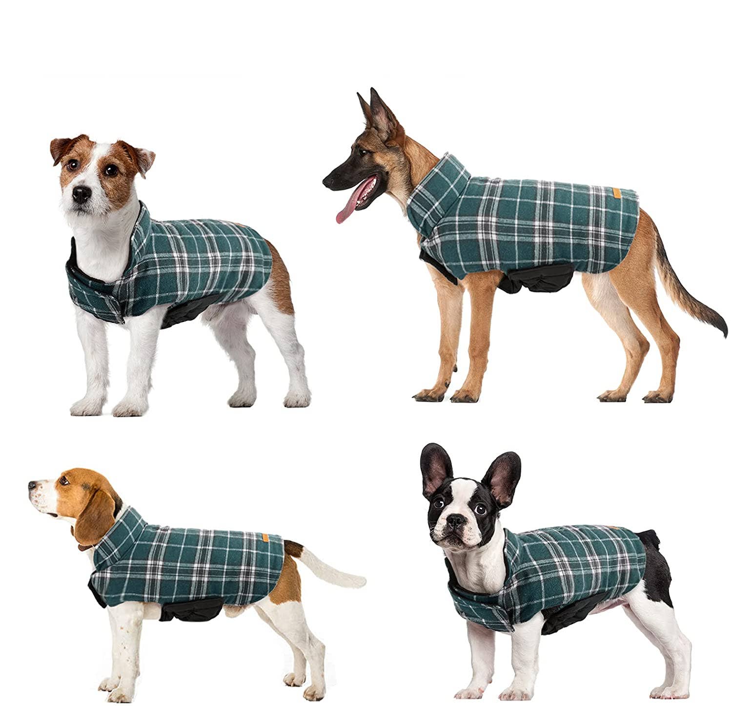 #dog_hoodie# - DoggyHoods